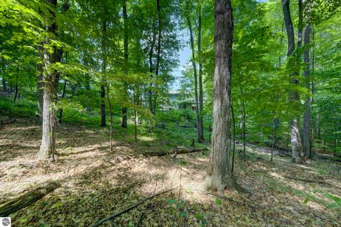 Tiny photo for 12166 E Old Orchard Trail, Suttons Bay, MI 49682 (MLS # 1946369)