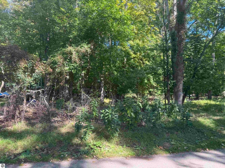 Photo 1 of 5 — 0 Campbell Avenue, Hale, MI 48739