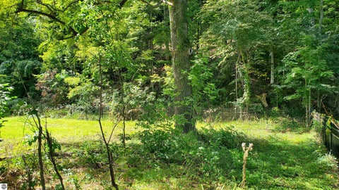 Tiny photo for 00 S West Bay Shore, Traverse City, MI 49684 (MLS # 1950589)