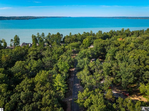 Tiny photo for 7674 Ladd Drive, Rapid City, MI 49676 (MLS # 1950238)