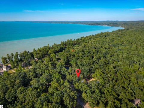 Tiny photo for 7674 Ladd Drive, Rapid City, MI 49676 (MLS # 1950238)