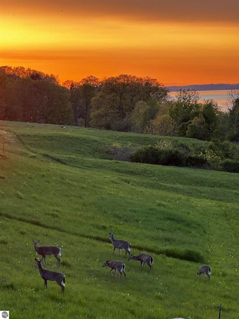 Tiny photo for 6488 Ridge Drive #11, Benzonia, MI 49616 (MLS # 1944141)