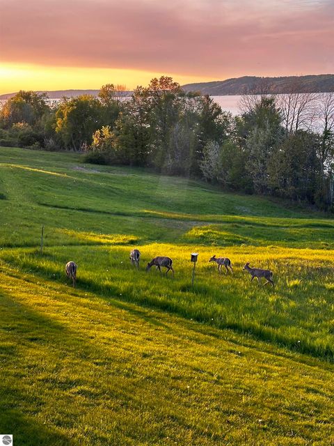 Tiny photo for 6488 Ridge Drive #11, Benzonia, MI 49616 (MLS # 1944141)