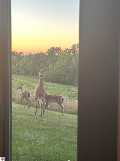 Tiny photo for 6488 Ridge Drive #11, Benzonia, MI 49616 (MLS # 1944141)