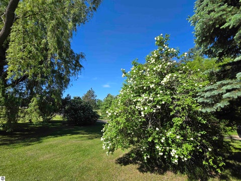 Tiny photo for 229 E Houghton Lake Road, Lake City, MI 49651 (MLS # 1946497)