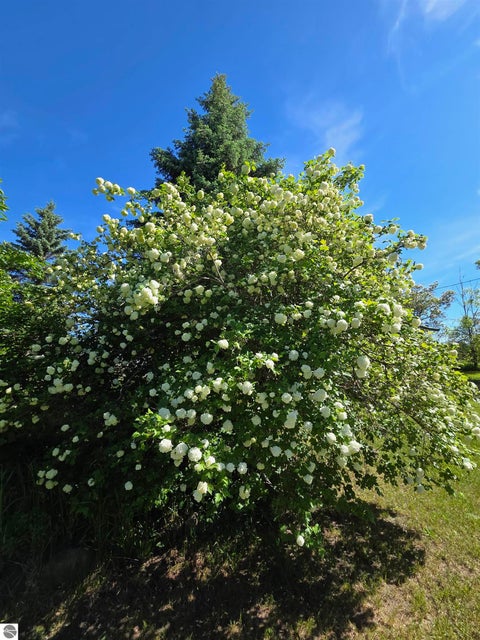 Tiny photo for 229 E Houghton Lake Road, Lake City, MI 49651 (MLS # 1946497)