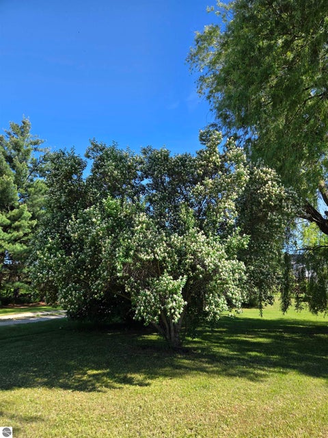 Tiny photo for 229 E Houghton Lake Road, Lake City, MI 49651 (MLS # 1946497)