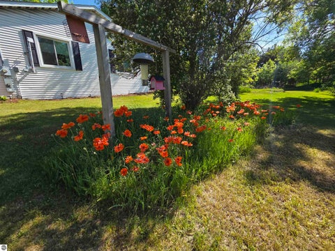 Tiny photo for 229 E Houghton Lake Road, Lake City, MI 49651 (MLS # 1946497)