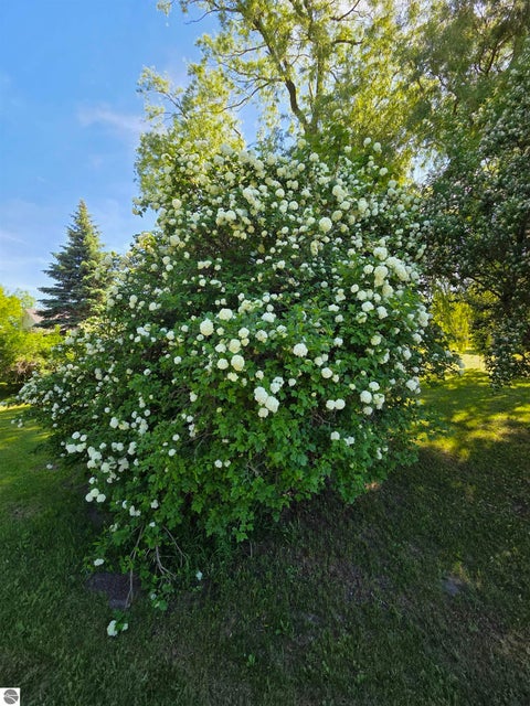 Tiny photo for 229 E Houghton Lake Road, Lake City, MI 49651 (MLS # 1946497)