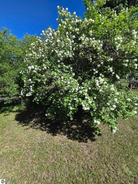 Tiny photo for 229 E Houghton Lake Road, Lake City, MI 49651 (MLS # 1946497)