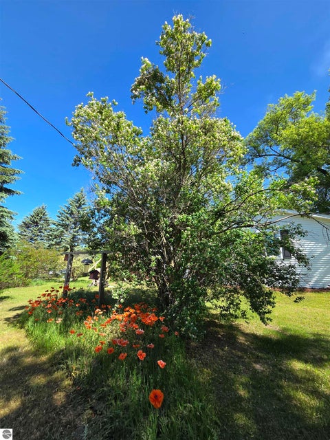 Tiny photo for 229 E Houghton Lake Road, Lake City, MI 49651 (MLS # 1946497)