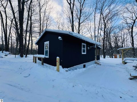 Tiny photo for 942 N 47 1/2 Road, Manton, MI 49663 (MLS # 1941808)