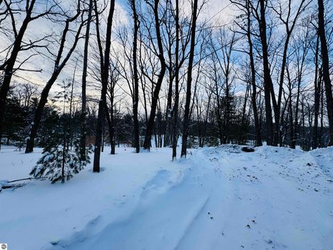 Tiny photo for 942 N 47 1/2 Road, Manton, MI 49663 (MLS # 1941808)