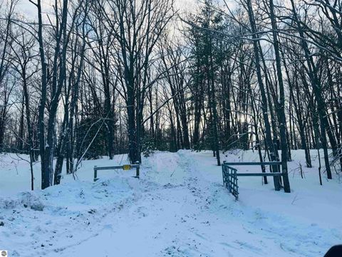 Tiny photo for 942 N 47 1/2 Road, Manton, MI 49663 (MLS # 1941808)