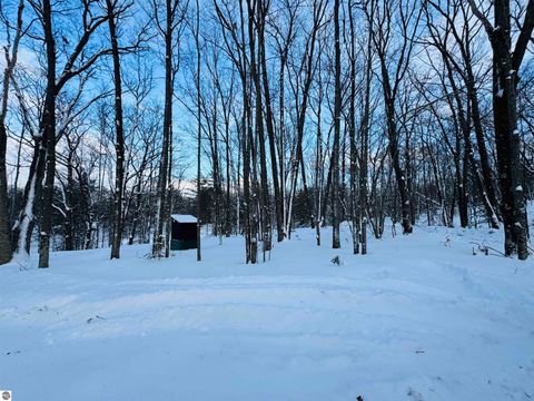 Tiny photo for 942 N 47 1/2 Road, Manton, MI 49663 (MLS # 1941808)