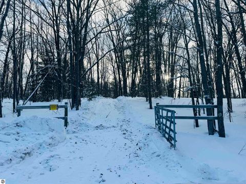 Tiny photo for 942 N 47 1/2 Road, Manton, MI 49663 (MLS # 1941808)