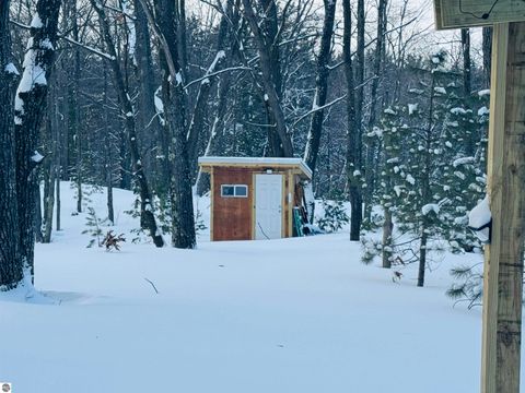 Tiny photo for 942 N 47 1/2 Road, Manton, MI 49663 (MLS # 1941808)