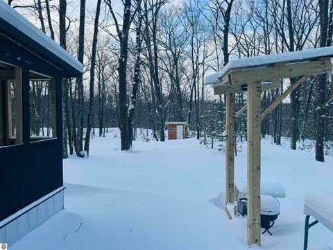 Tiny photo for 942 N 47 1/2 Road, Manton, MI 49663 (MLS # 1941808)