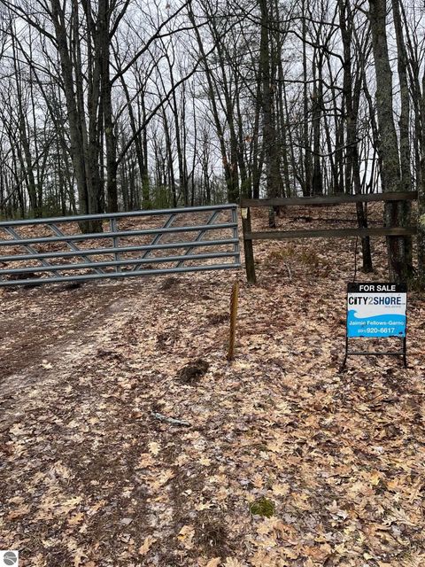 Tiny photo for 942 N 47 1/2 Road, Manton, MI 49663 (MLS # 1941808)