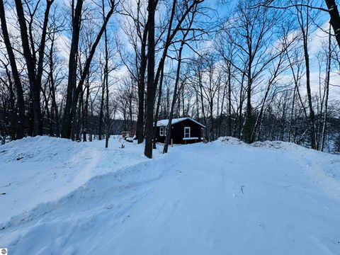 Tiny photo for 942 N 47 1/2 Road, Manton, MI 49663 (MLS # 1941808)