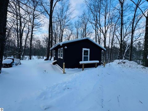 Tiny photo for 942 N 47 1/2 Road, Manton, MI 49663 (MLS # 1941808)