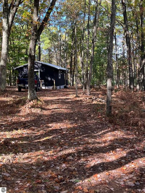 Tiny photo for 942 N 47 1/2 Road, Manton, MI 49663 (MLS # 1941808)