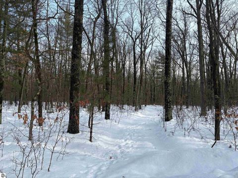 Tiny photo for 19248 Caberfae Highway, Wellston, MI 49689 (MLS # 1941545)