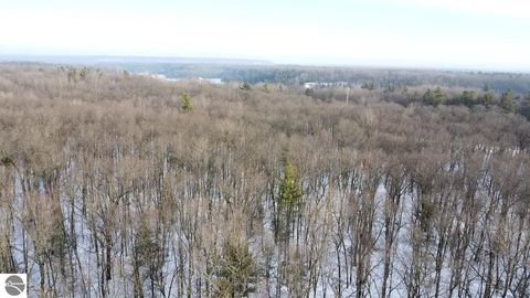 Tiny photo for 19248 Caberfae Highway, Wellston, MI 49689 (MLS # 1941545)