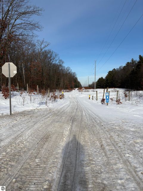 Tiny photo for 19248 Caberfae Highway, Wellston, MI 49689 (MLS # 1941545)