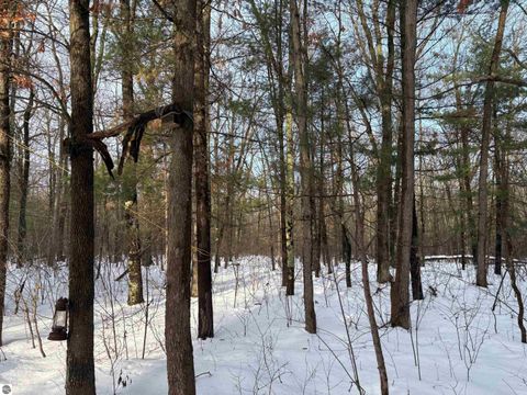 Tiny photo for 19248 Caberfae Highway, Wellston, MI 49689 (MLS # 1941545)