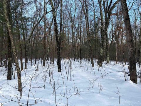 Tiny photo for 19248 Caberfae Highway, Wellston, MI 49689 (MLS # 1941545)