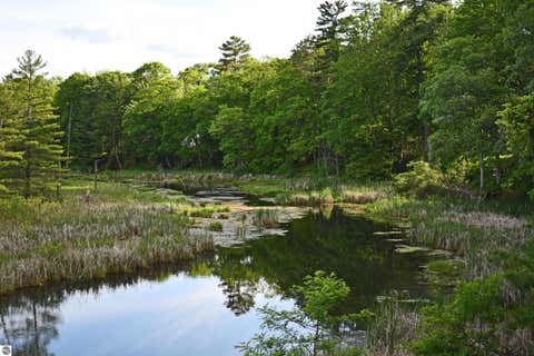 Tiny photo for 3800 Forest Road, Oscoda, MI 48750 (MLS # 1946849)