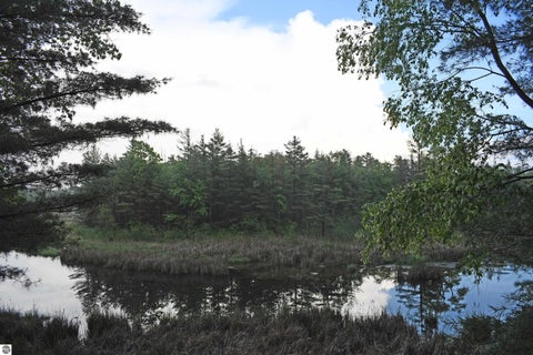 Tiny photo for 3800 Forest Road, Oscoda, MI 48750 (MLS # 1946849)