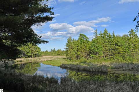 Tiny photo for 3800 Forest Road, Oscoda, MI 48750 (MLS # 1946849)