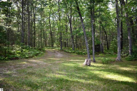 Tiny photo for 3800 Forest Road, Oscoda, MI 48750 (MLS # 1946849)