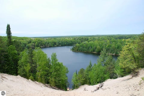 Tiny photo for 3800 Forest Road, Oscoda, MI 48750 (MLS # 1946849)