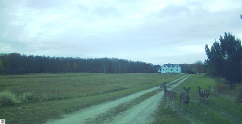 Tiny photo for 8110 Ames Road, Bear Lake, MI 49614 (MLS # 1941428)