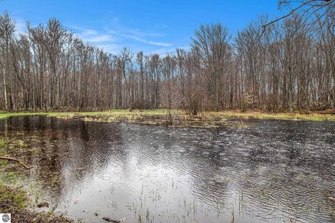 Tiny photo for 8110 Ames Road, Bear Lake, MI 49614 (MLS # 1941428)