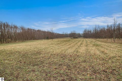 Tiny photo for 8110 Ames Road, Bear Lake, MI 49614 (MLS # 1941428)