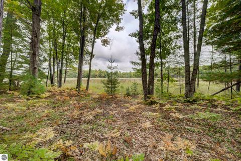 Tiny photo for 838 Blue Heron Drive, Kalkaska, MI 49646 (MLS # 1943567)