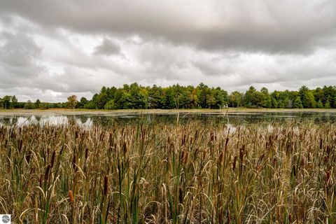 Tiny photo for 838 Blue Heron Drive, Kalkaska, MI 49646 (MLS # 1943567)