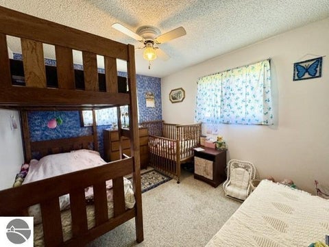 Tiny photo for 4721 E Sidney Road, Stanton, MI 48888 (MLS # 1947932)