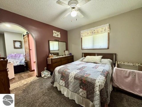 Tiny photo for 4721 E Sidney Road, Stanton, MI 48888 (MLS # 1947932)