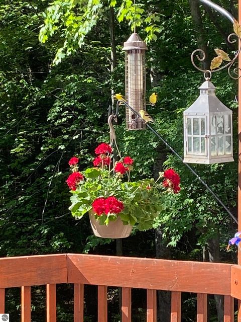 Tiny photo for 5466 Millbrook Drive #6, Williamsburg, MI 49690 (MLS # 1941832)