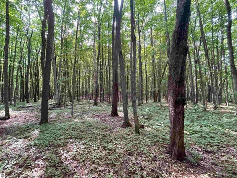 Tiny photo for 9149 N Twin Lake Road, Mancelona, MI 49659 (MLS # 1946159)