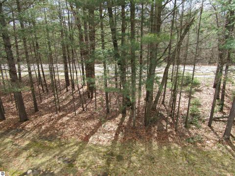 Tiny photo for 1011 E Lincoln Street, East Tawas, MI 48730 (MLS # 1943570)