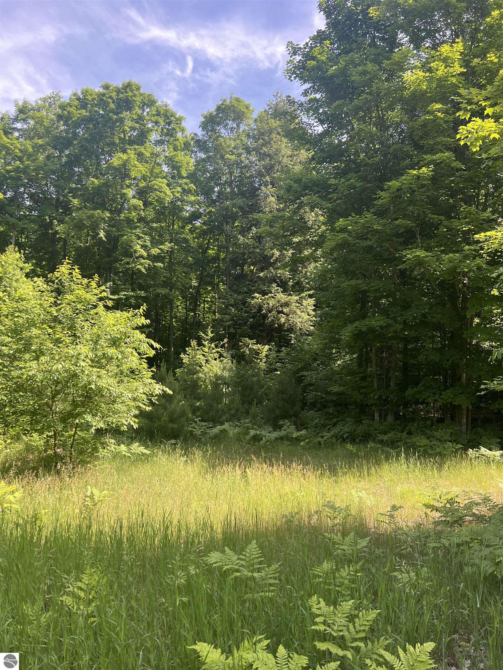Photo 1 of 7 — Parcel G O'Dell Road, Williamsburg, MI 49690