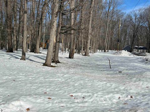 Tiny photo for 4640 E Circle Drive NE, Kalkaska, MI 49646 (MLS # 1942840)
