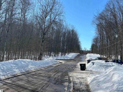 Tiny photo for 4640 E Circle Drive NE, Kalkaska, MI 49646 (MLS # 1942840)