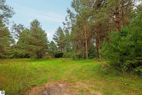 Tiny photo for 9957 SW Creighton Road, Fife Lake, MI 49633 (MLS # 1950844)